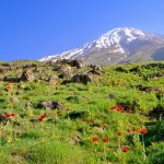 Valley of the Assassins